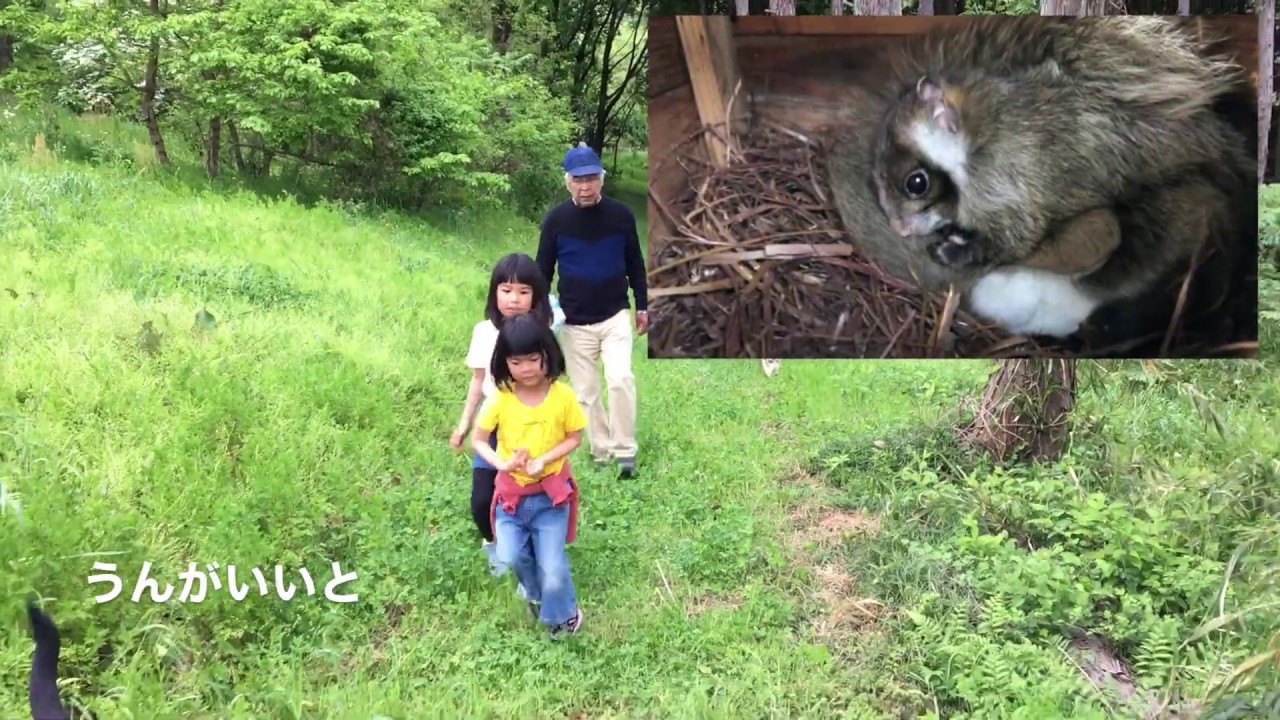 かずおちゃん（youtubeチャンネル） | いわむらかずお絵本の丘美術館