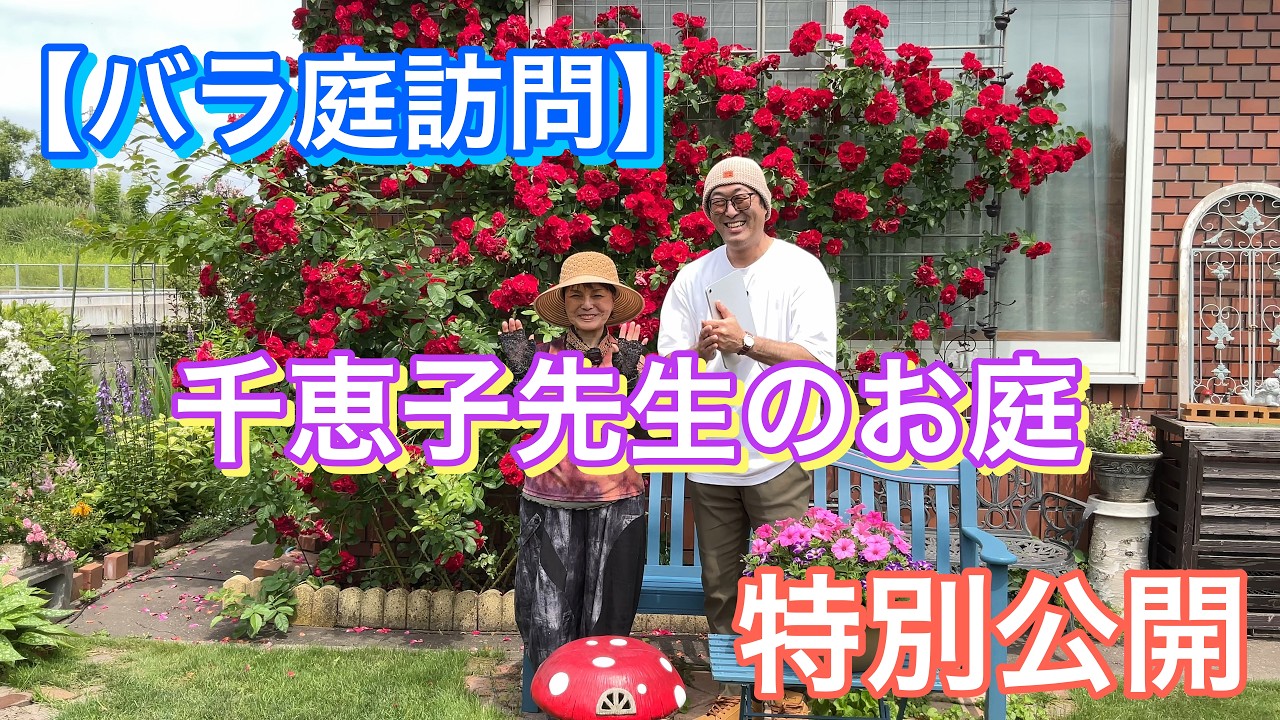 レアバラ苗　グリーンアィ美人ちゃん　大苗 Explaining 11 Rose Varieties from My Secret Garden 05/26/2024