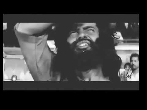 يوما ما سنلتقي ص دفه انت تعرفني و انا لا اتذكرك