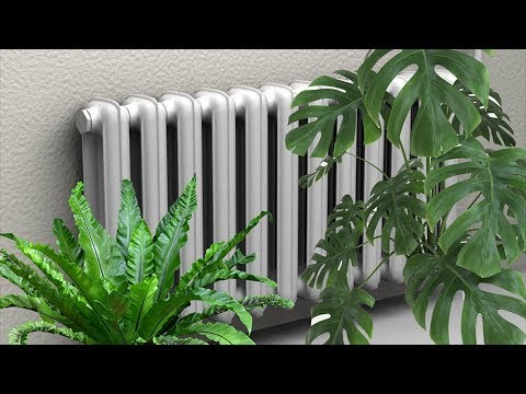 Комнатные растения в отопительный сезон. Чем опасно тепло от батарей для растений?