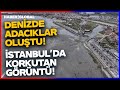 İstanbul'da Korkutan Görüntü! Deniz Metrelerce Çekildi Adacıklar Ortaya Çıktı!