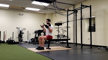 Seated dumbbell hammer curls: Simultaneous