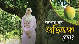 আমের নাম হাড়িভাঙ্গা কেন? কোথায় আছে এর মাতৃগাছটি? । History Of Harivanga Mango । Premium Fruits