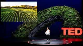 The Hidden Wonders of Soil | Jane Zelikova | TED