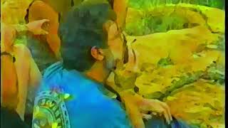 The Role of the Artist in Human Evolution - Terence McKenna