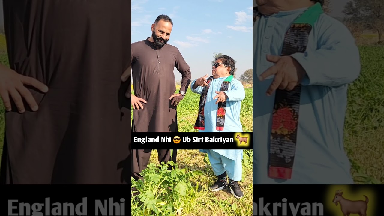 Mujhe nahi jana England 😎 Ab main bakriyan rakhunga 🐐💸 | mithu shahzada ghaffar