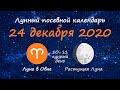 [24 декабря 2020] Лунный посевной календарь огородника-садовода | Флористикс Инфо