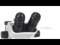 Euromex nexiuszoom stereo microscope  the new standard in stereo microscopy