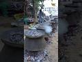 Surat Muslim Wedding Ki 50 Degh Wali Mutton Biryani Bulk Making Process #gujaratfood #shorts