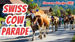 SWISS COW PARADE | POV experience at the 2023 Désalpe in Charmey, Switzerland | Swiss Culture by The Traveling Swiss – Alexis & Louis 7,215 views 8 months ago 4 minutes, 50 seconds