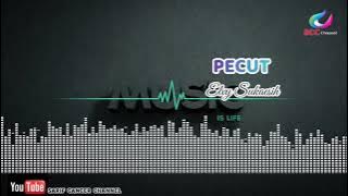 PECUT / Elvy Sukaesih
