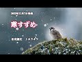 『寒すずめ』松尾雄史 カラオケ 2022年12月7日発売