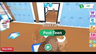 robloxapp 20201016 1819049