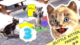 Little Kitten Preschool Adventure Educational Games - Count 1 To 10 - Kitten  Learning Games #1034