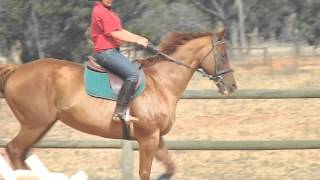 Flatwork & Jumping 03.03.2012 & 4'3 Jump 19.04.2012