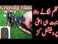 Grafting Tools |  How To Grafting Any Plant | Qalam Lagane Ka Tareeqa | Grafting Tools Price