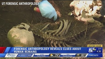 Forensic Anthropology process reveals clues about human remains