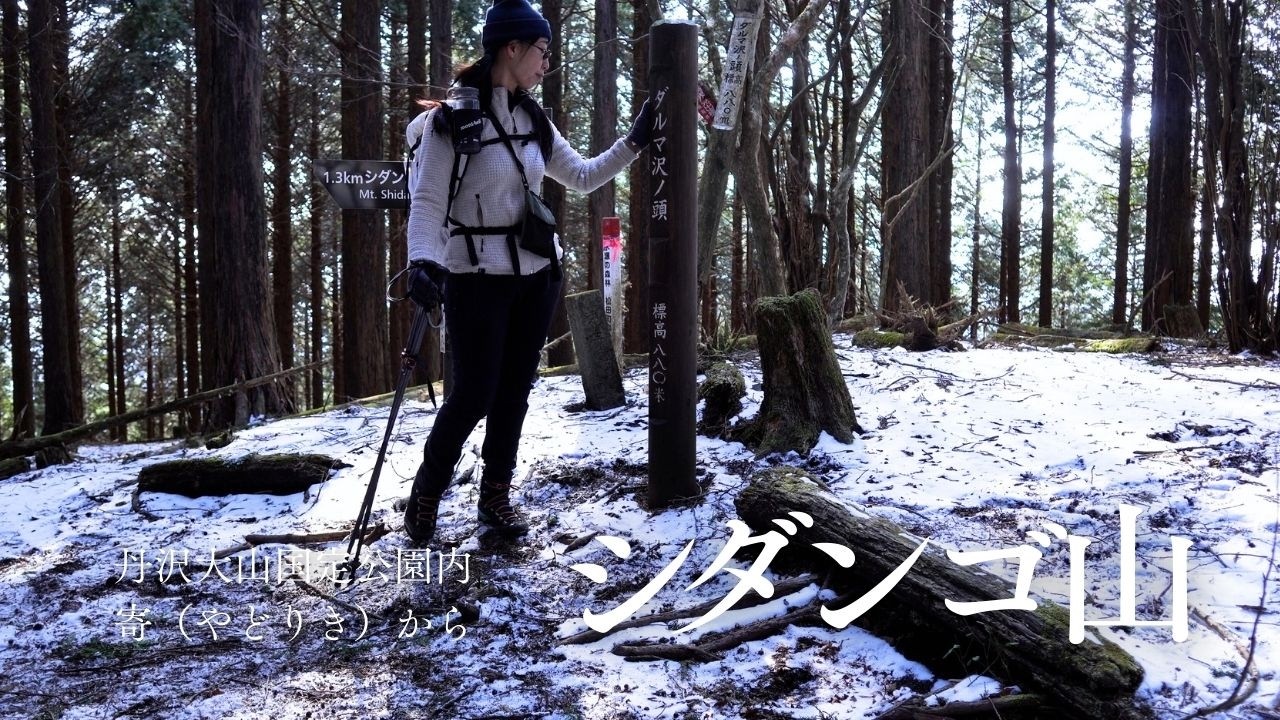 シダンゴ（震旦郷）｜丹沢山地の南部。寄（やどりき）地区から。