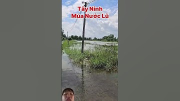 Cảnh Những căn nhà của người dân Tây Ninh khu vực quen kenh quen sông Mùa nước nổi thì nước bị ngập