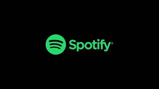 Spotify live bug user email change without user password authentication
