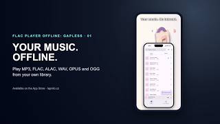 FLAC Player Offline: Gapless — play your own FLAC files offline on iPhone screenshot 4
