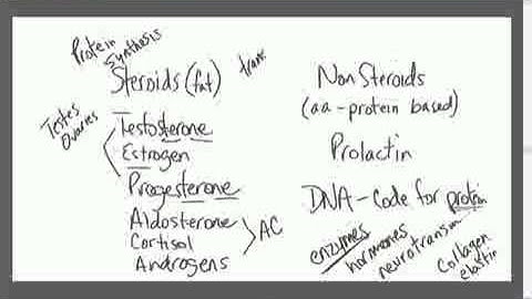 Chapter 16 - Endocrine - Part 1
