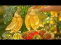 The Ultimate ASMR Delight Enjoying Chocolate Fondue with Glass Fruits A Satisfying Indulgence