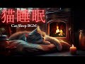 【癒しの猫×ヒーリングミュージック🐈🔥】焚き火の音とリラックスBGMで深い眠りへ|ストレス解消・疲労回復・快眠効果抜群の安眠動画 睡眠導入 子供 赤ちゃん 動物 犬 ペット 癒しの音楽 気分転換 最高