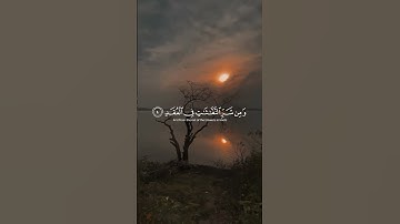 Thumbnail of Surat Al-Falaq (The Daybreak) | Mishary Rashid Alafasy | مشاري بن راشد العفاسي | سورة الفلق