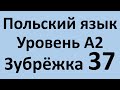 Зубрёжка Польский язык Уровень А2 Урок 37 Польский разговорный Польские диалоги и тексты с переводом