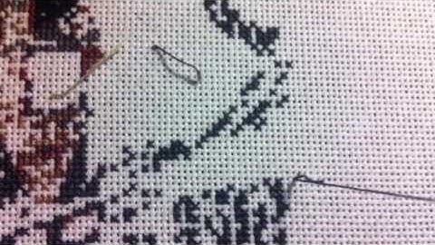 Diagonal Pin Stich on 1 over 1 (even weave)