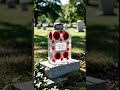 “I Made a Forever Rose Memorial for a Loved One (Real Tears)”