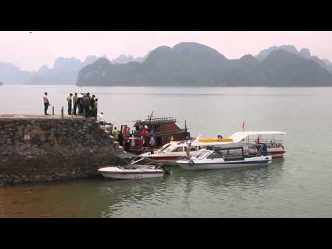 Bear Sea Rescue