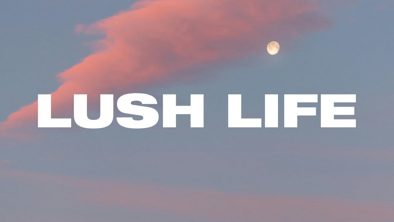 Lush Life - Zara Larsson (The Otherdays Cover Official Lyrics Video)