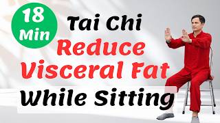 Reduce Visceral Fat & Burn Belly Fat | Gentle Chair Tai Chi for Beginners Over 50