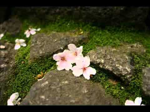 桜の國の散る中を 友川かずき - YouTube