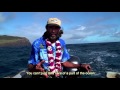 Voices from the Sea: Easter Island Ocean Conservation Documentary