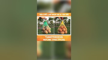 Túi lưới nhựa sỉ số lượng lớn/Nongnghiepthanhha.vn #shorts