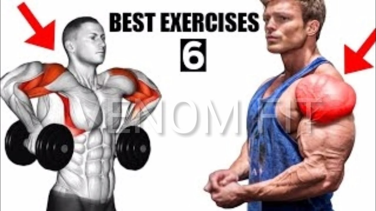 Best 6 exercises for boulder shoulders - Venom fitness workout