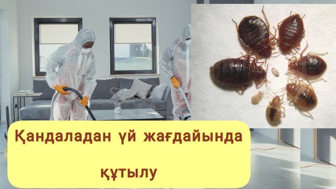 Порно с языке трахает Өзгертілген емізіктердің порнофотосуреттері