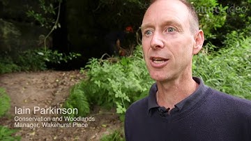 Plant Invaders: better management of alien species in Europe