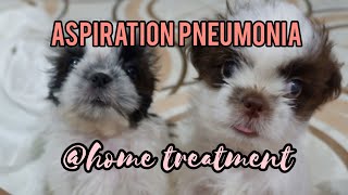 3 week old puppies w/ Aspiration Pneumonia @ home treatment