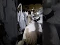 مقتطفات من نفحات أبناء الشيخ الجعلي كدباس 2 مقتطفات من نفحات أبناء الشيخ الجعلي كدباس 2