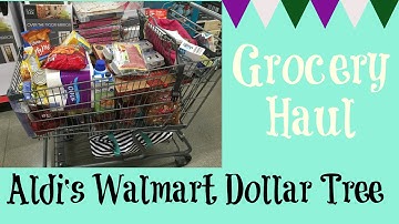 Weekly Grocery Haul | Alid~Walmart~Dollar Tree