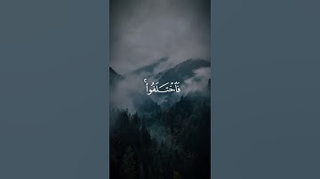أرح سمعك❤|سورة يونس|القارئ|#عبدالرحمن_مسعد|#القرآن_الكريم|#راحه_نفسيه