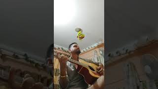 malashree dhoon(Dashain dhoon)Easy guitar cover.