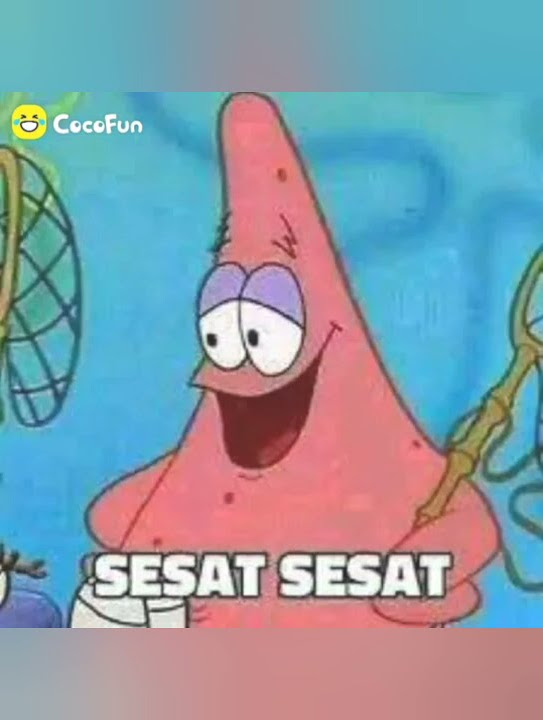 bagi bagi stiker wa