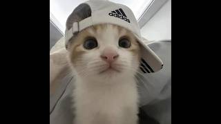 oyuna geri gir efecan seni cok ozledim