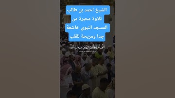 الشيخ احمد بن طالب تلاوة محبرة وخاشعة جدا من المسجد النبوي تذهب هموم القلب والنفس