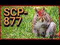 SCP-877 | University Microchips | Alexylva University SCP